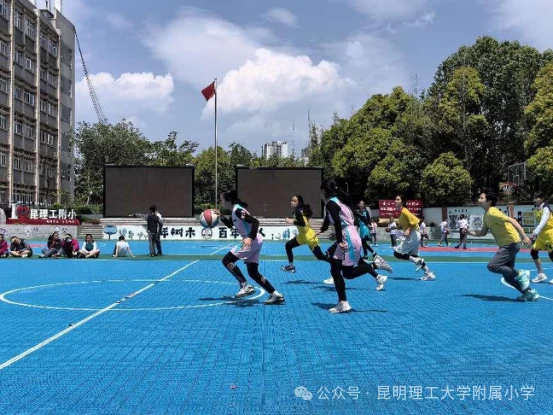如何为前锋设计高效的篮球训练方案_0