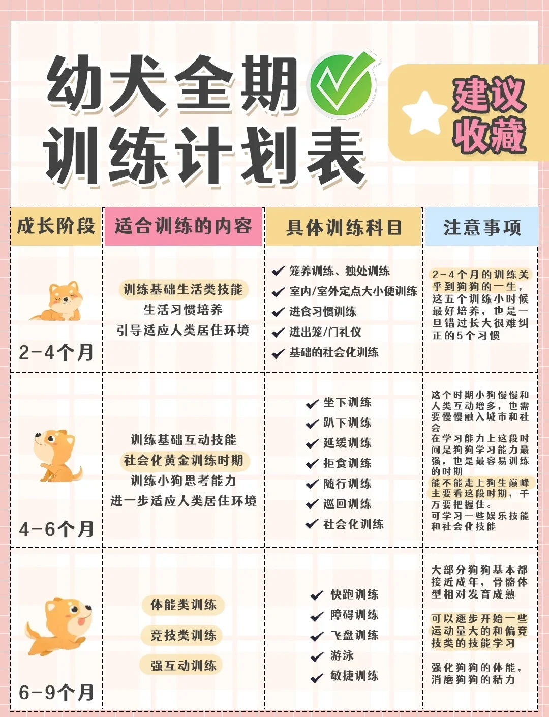 为什么篮球后卫需要特别的体能训练_1